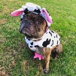 Meet your Posher, Patrick